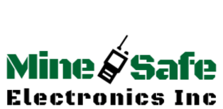 minsafe electronics inc
